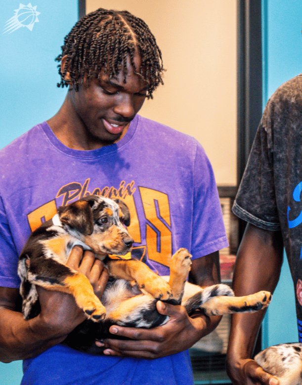 amp, 只小狗, 狗的照片 amp, 只小狗, 狗的照片