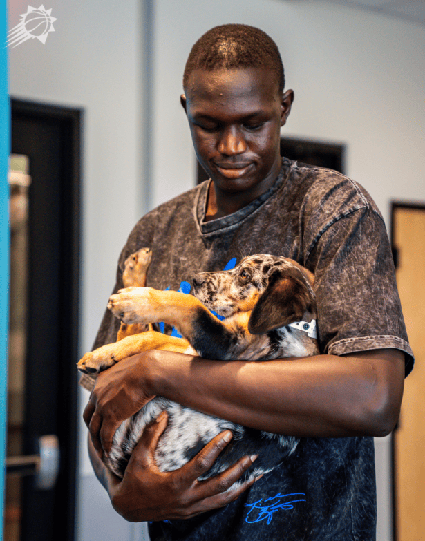 amp, 太阳领养了, AA amp, 太阳领养了, AA